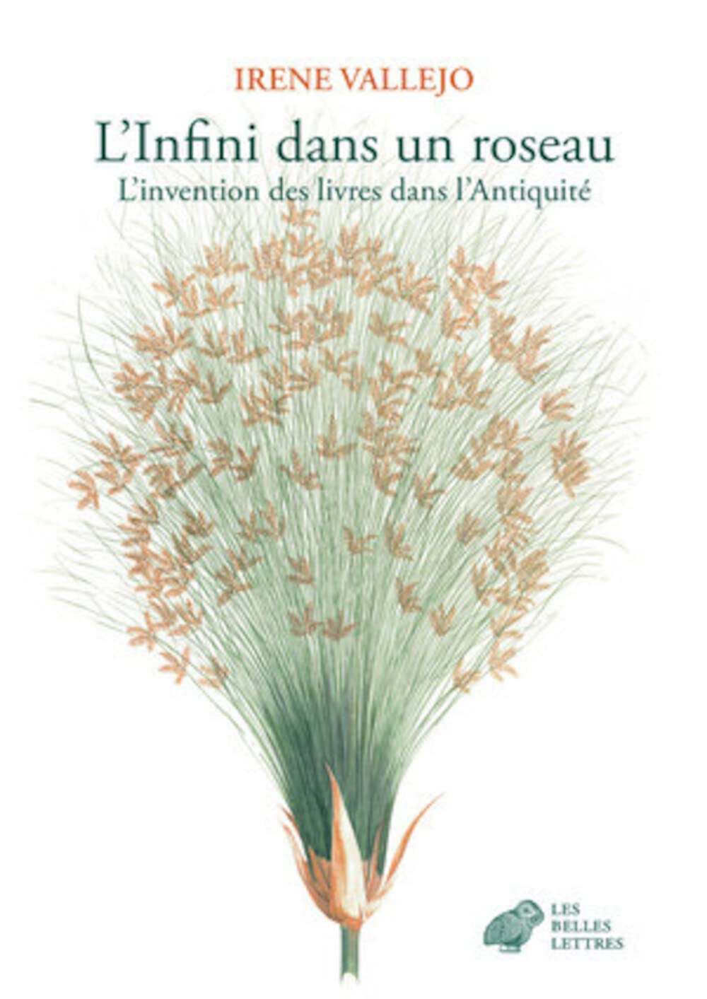 Libro: L'Infini Dans Un Roseau: L'Invention Des Livres Dans l'Antiquite (French Edition)