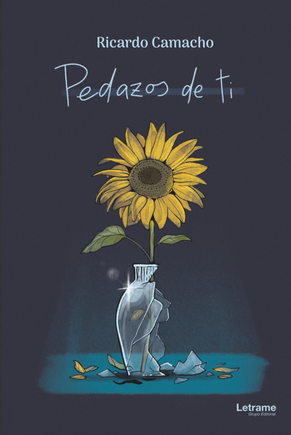 Libro: Pedazos de ti