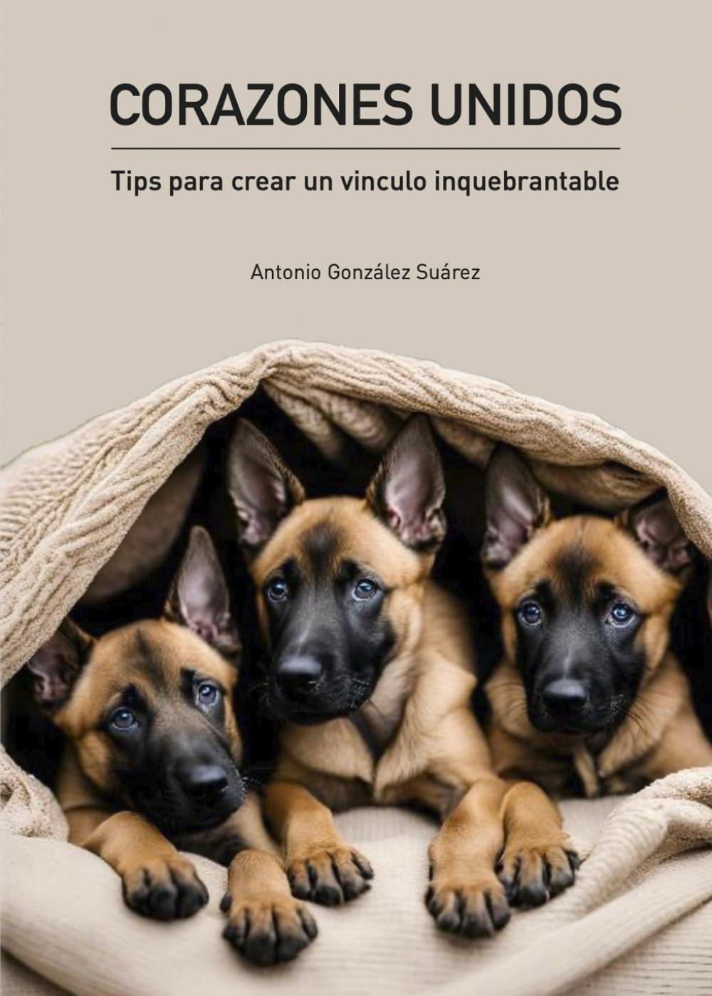 Libro: CORAZONES UNIDOS: TIPS PARA CREAR UN VINCULO INQUEBRANTABLE