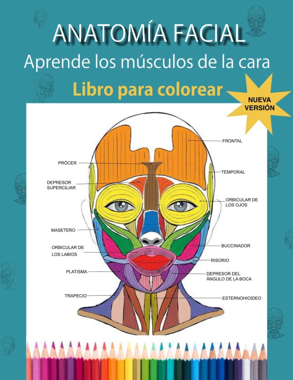 Libro: ANATOMIA FACIAL - Aprende los músculos de la cara: LIBRO PARA COLOREAR