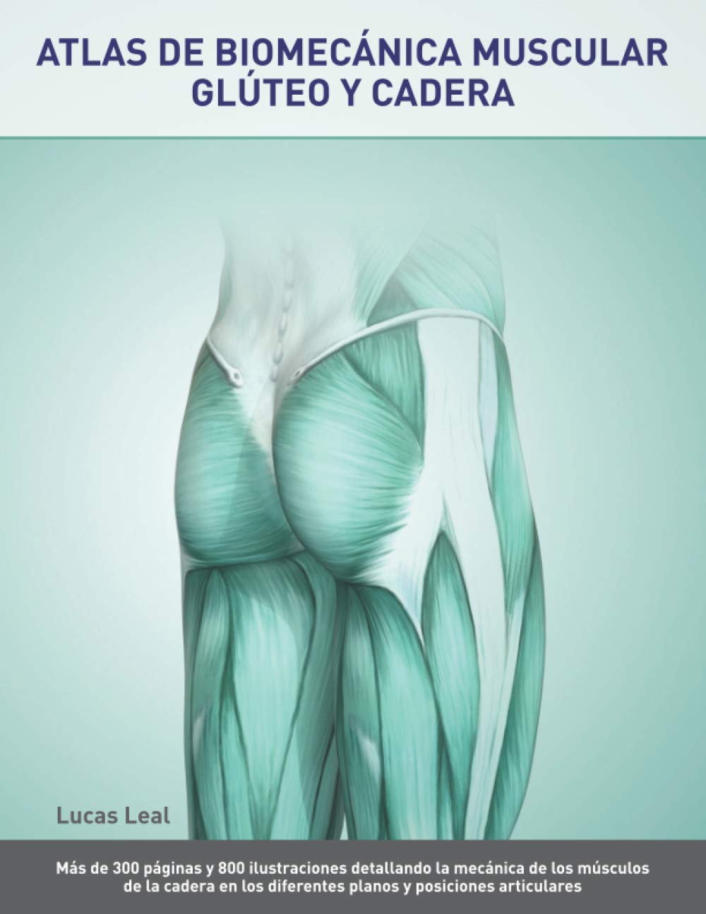 Libro: ATLAS DE BIOMECÁNICA MUSCULAR. GLÚTEO Y CADERA.: Más de 300 páginas y 800 ilustraciones detallando la mecánica de los músculos de la cadera en los ... y posiciones articulares (Spanish Edition)