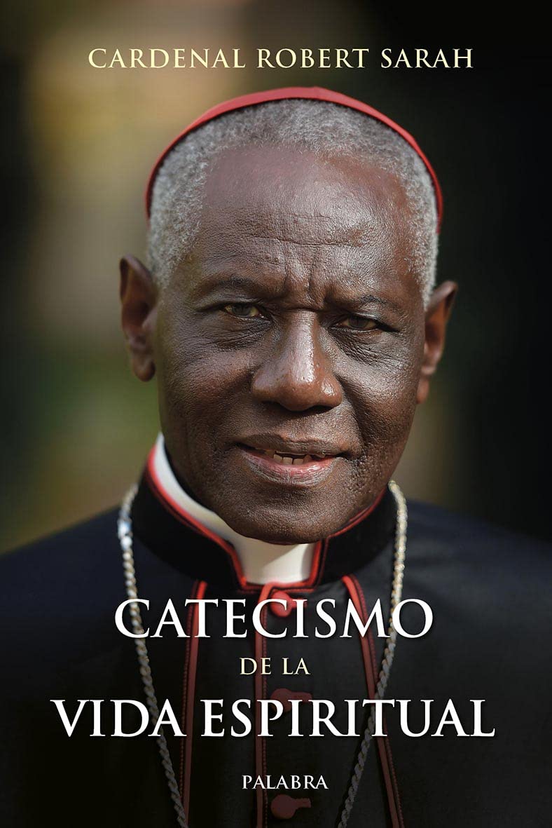 Libro: Catecismo de la vida espiritual (Mundo y cristianismo)