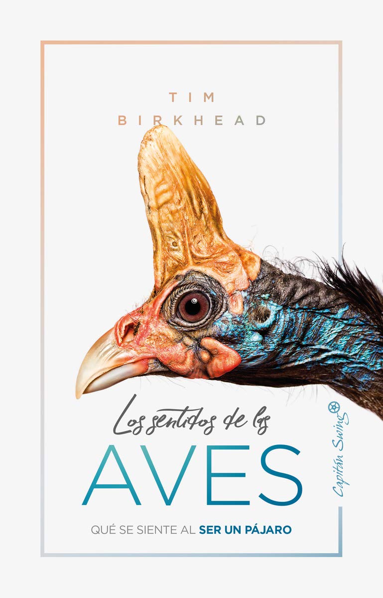 Los sentidos de la aves: Qué se siente al ser un pájaro (ENSAYO)