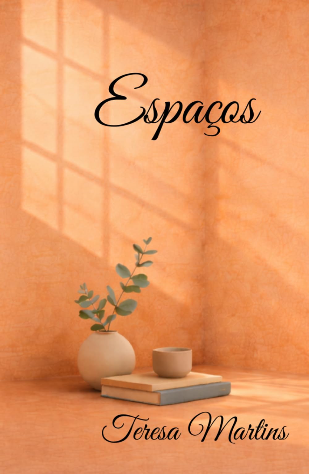 Libro: Espaços