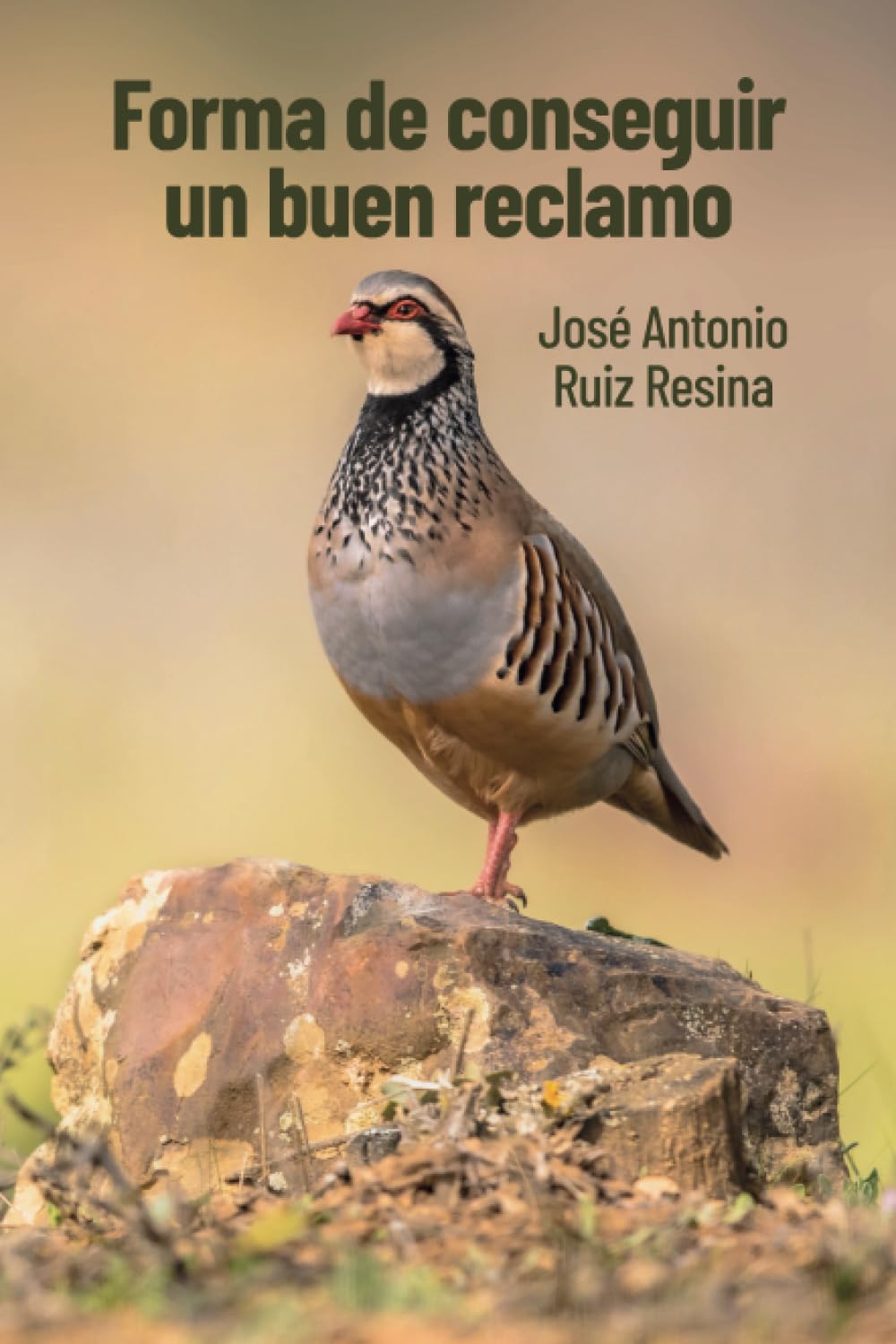 Libro: Forma de conseguir un buen reclamo. (Spanish Edition)