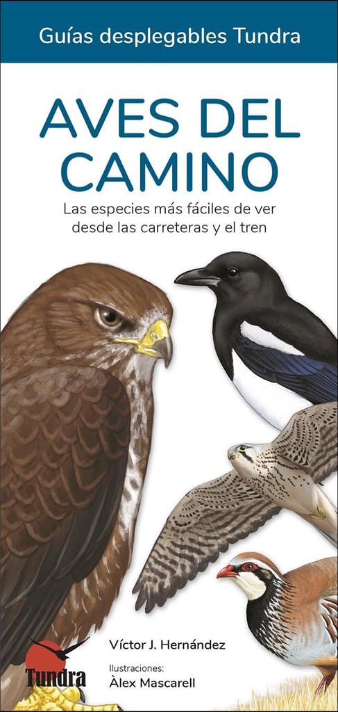 Libro: AVES DEL CAMINO (GUIAS DESPLEGABLES)