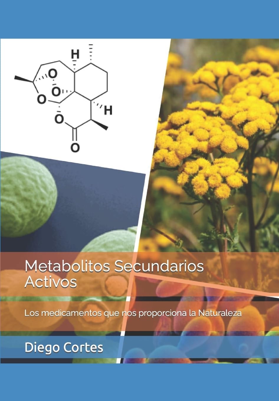 Libro: Metabolitos Secundarios Activos: Los medicamentos que nos proporciona la Naturaleza