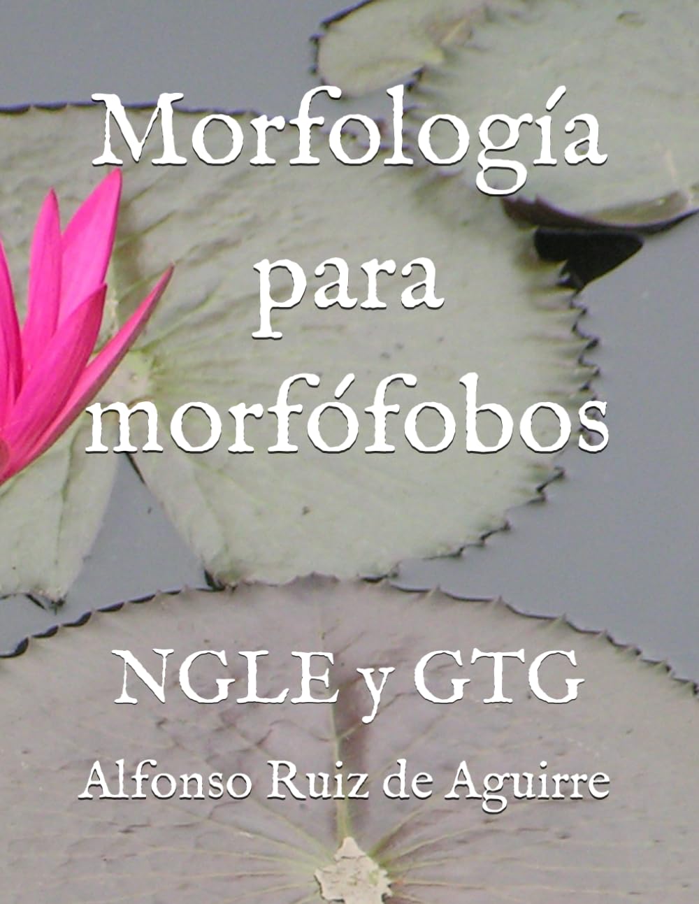 Morfología para morfófobos: NGLE y GTG