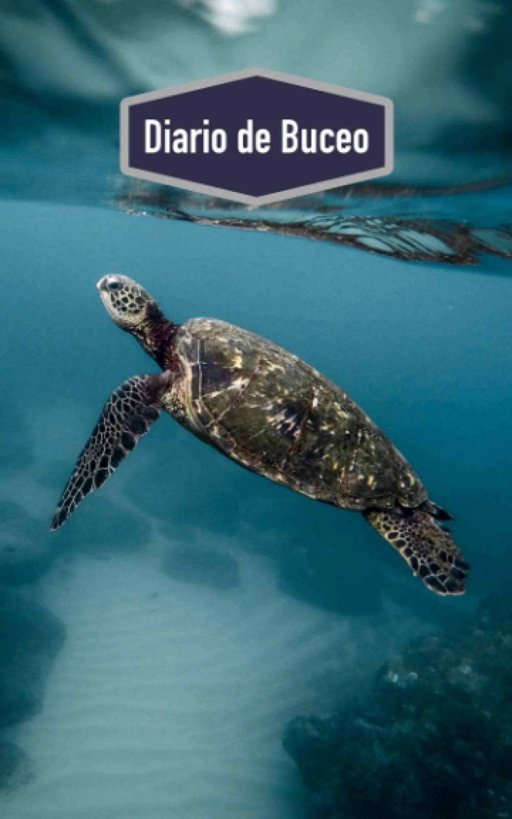 Libro: Diario de Buceo: Cuaderno para buceadores: espacio para 100 inmersiones (motivo: tortuga) (Spanish Edition)