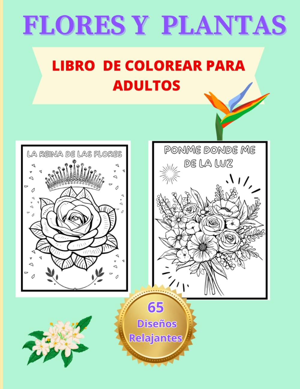 Libro de colorear para adultos: libro de colorear (Spanish Edition)