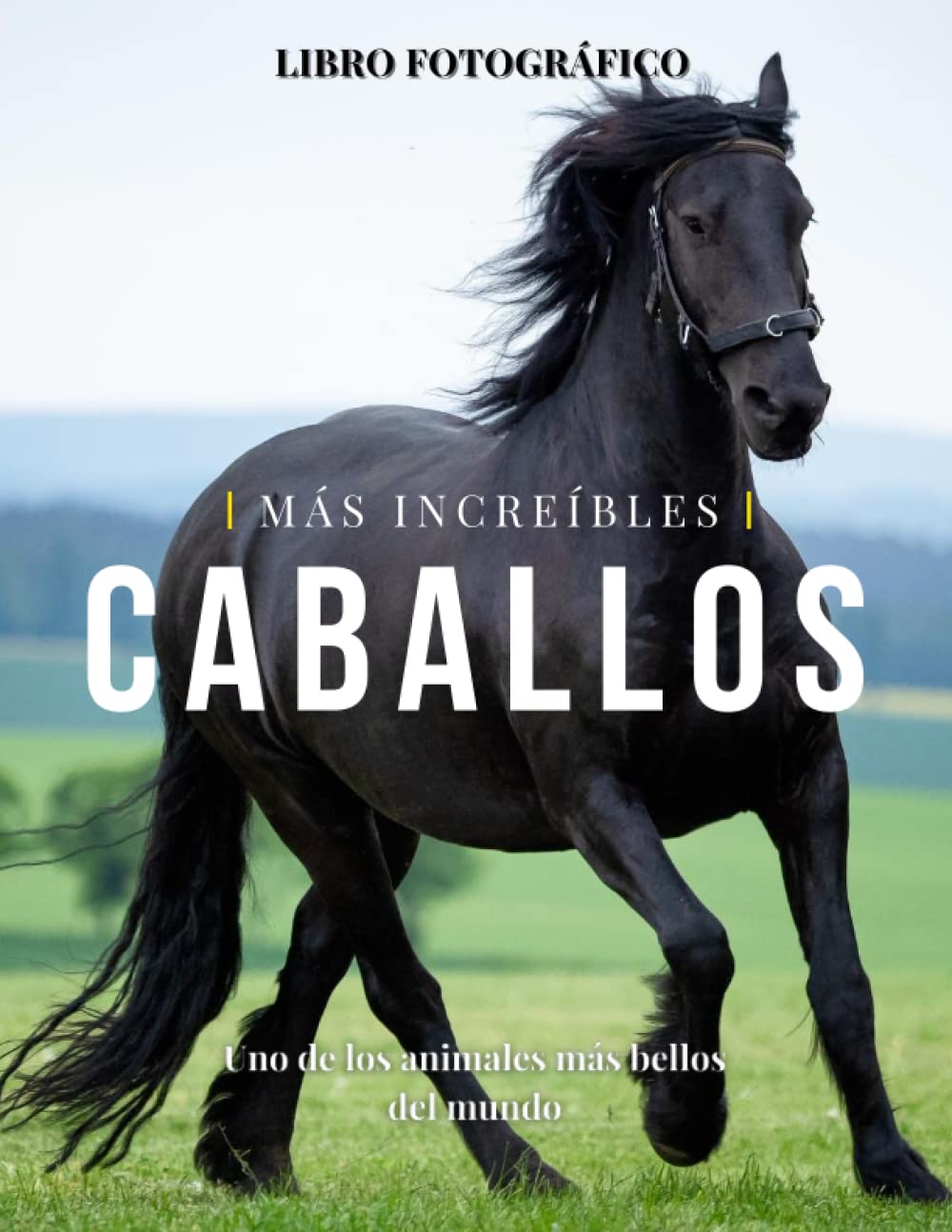 Libro: Caballos Más Increíbles: La Fotografía de Caballos Maravillosos para Niños, Demencia, Ancianos y Alzheimer, Amantes de los Caballos (Libro de imágenes). (Spanish Edition)