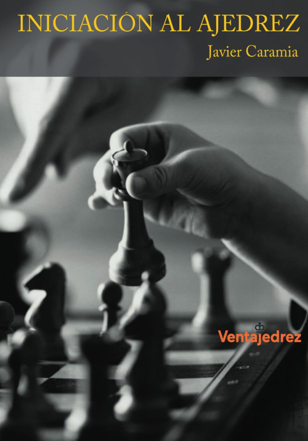 Libro: Iniciación al ajedrez (Aprendiendo Ajedrez) (Spanish Edition)