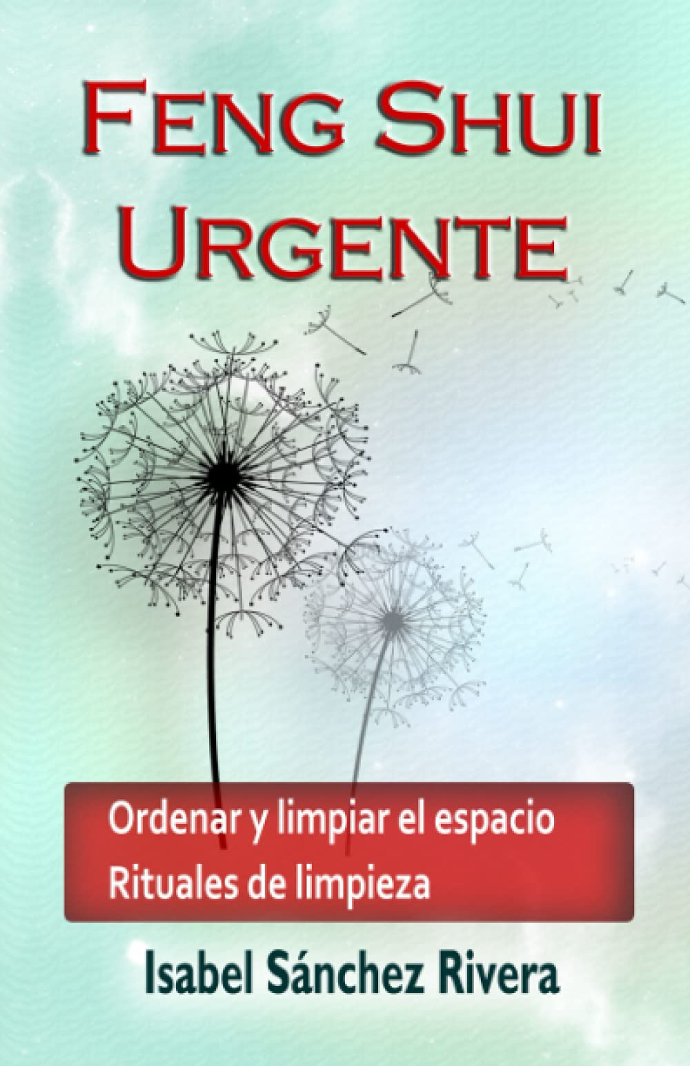 Libro: Feng Shui Urgente: Ordenar y limpiar el espacio. Rituales de limpieza. (Spanish Edition)