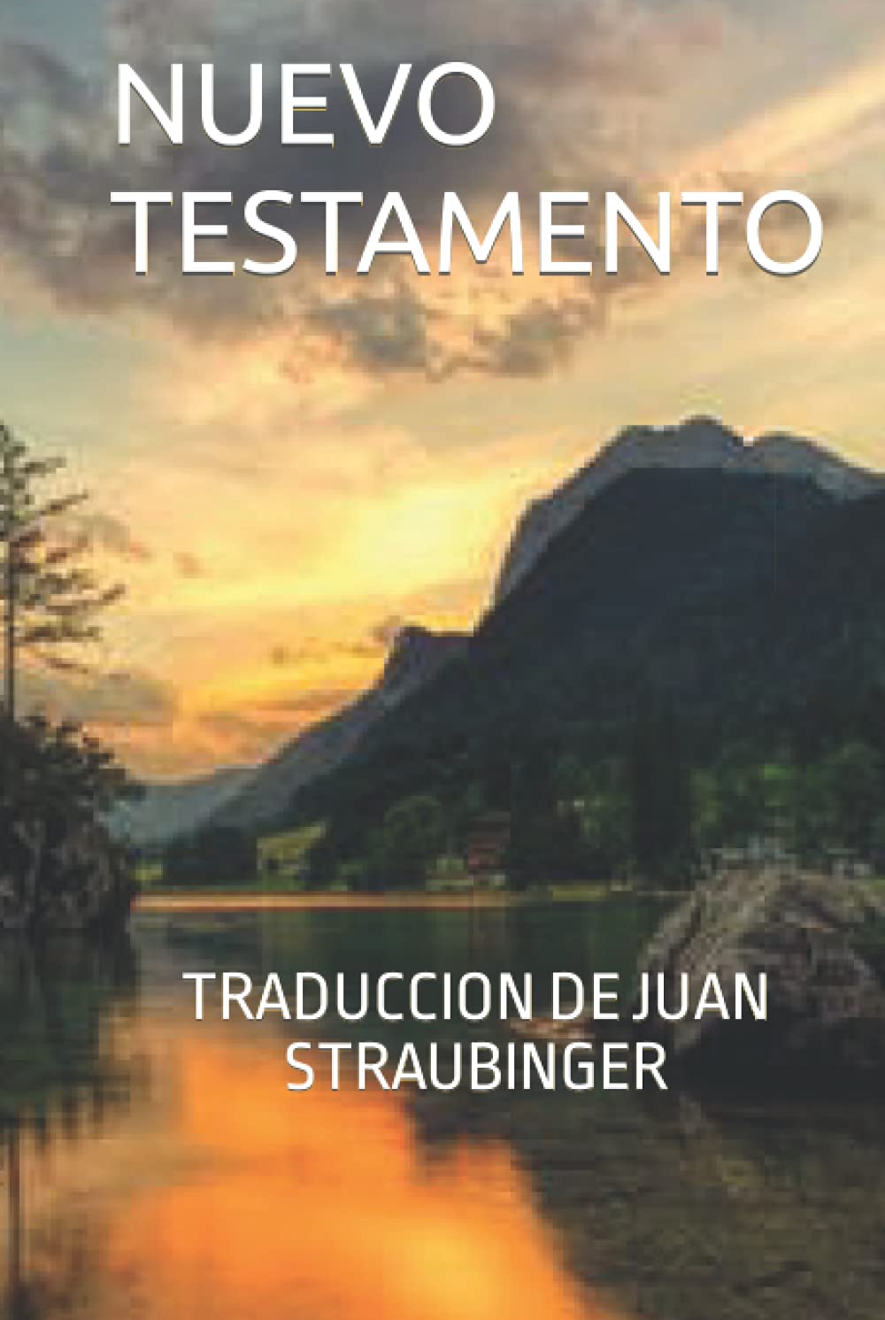 Libro: NUEVO TESTAMENTO: TRADUCCION DE JUAN STRAUBINGER (Spanish Edition)