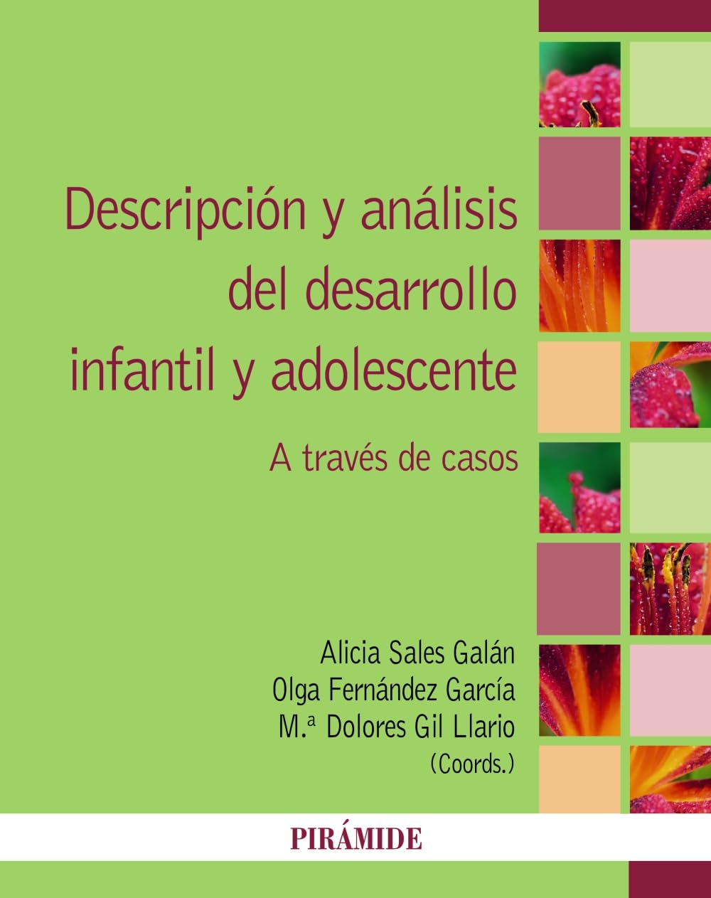 Libro: Descripción y análisis del desarrollo infantil y adolescente: A través de casos