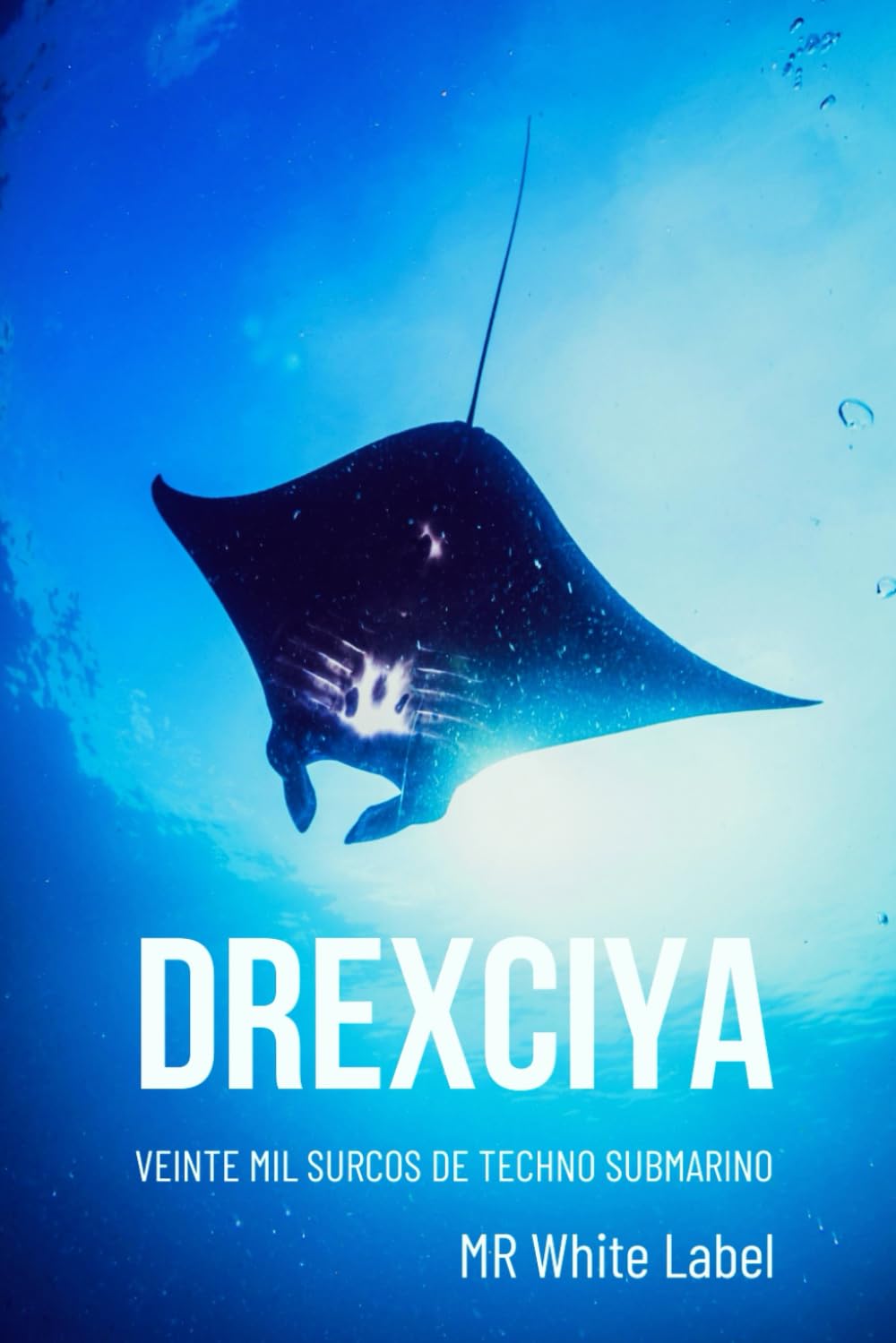 Libro: Drexciya: Veinte mil surcos de techno submarino (Iconos del techno) (Spanish Edition)