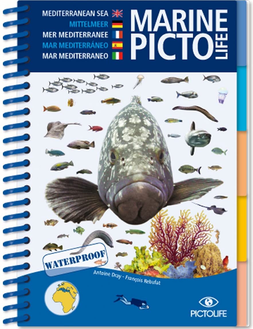 Libro: MEDITERRANEAN MARINE PICTOLIFE: Méditerranée
