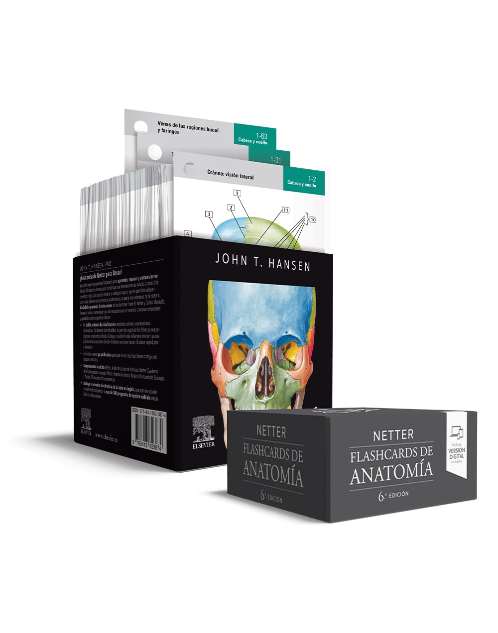 Elsevier Netter. Flashcards de anatomía