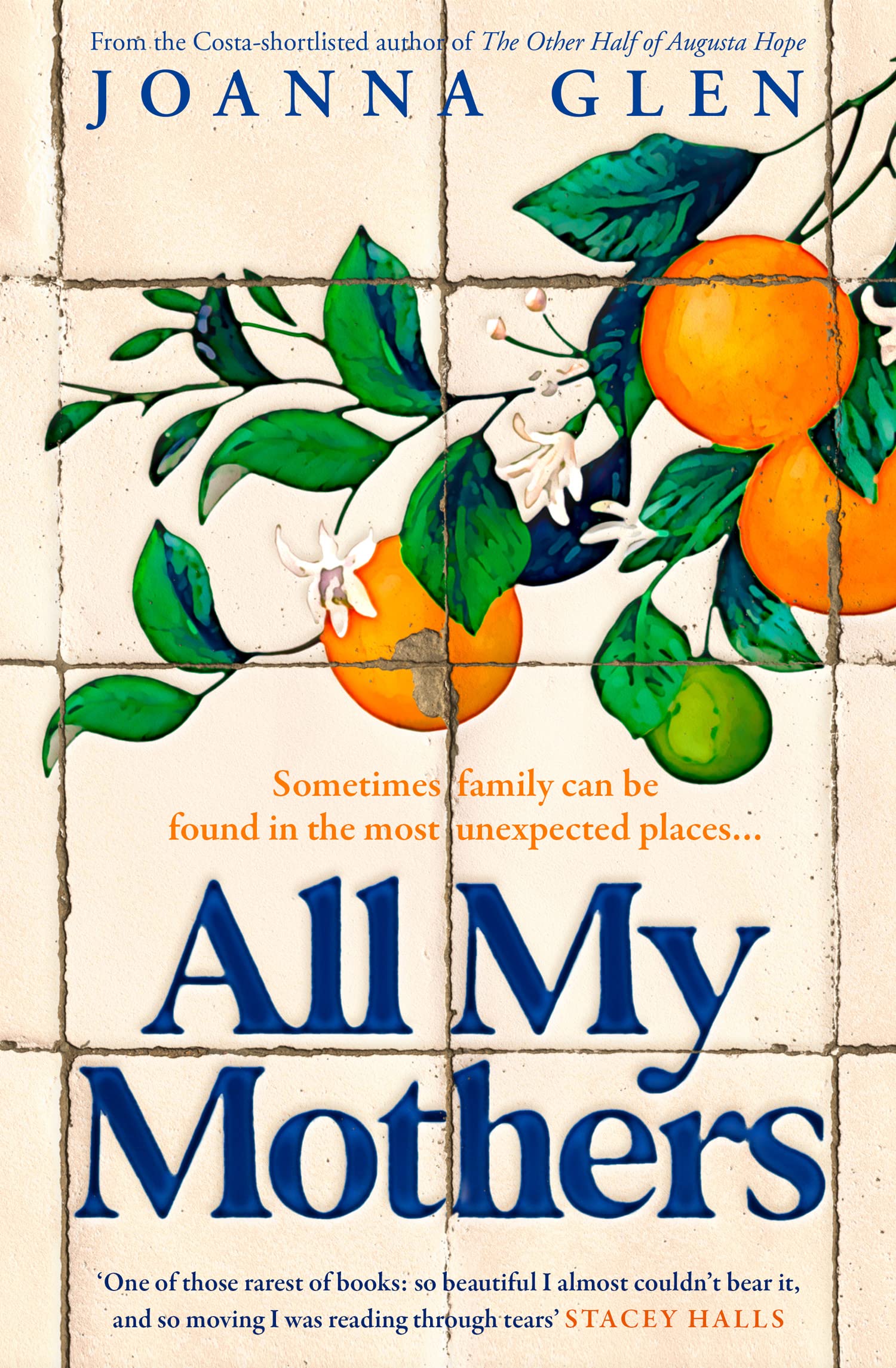 Libro: All My Mothers