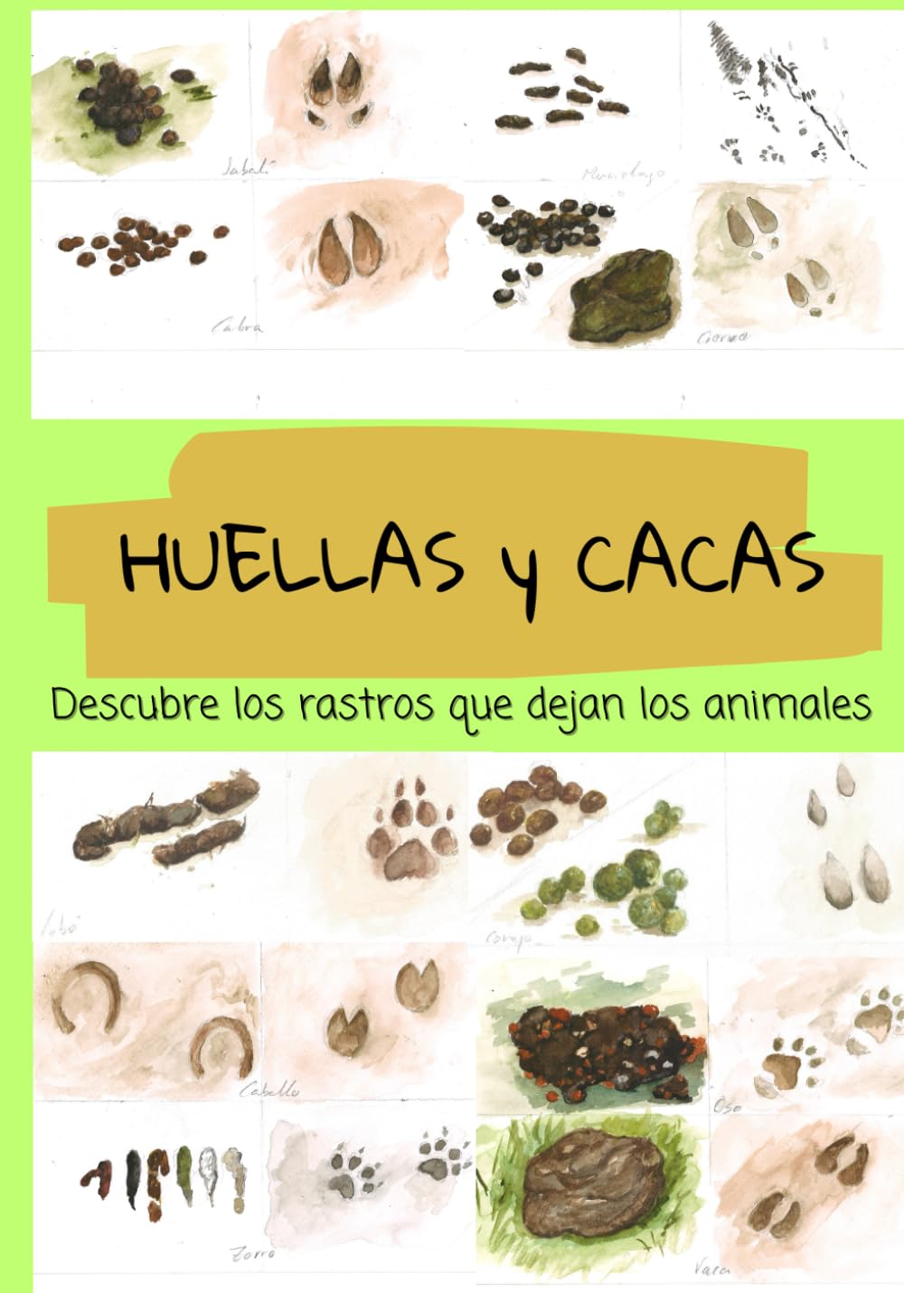 Libro: HUELLAS Y CACAS: Descubre los rastros que dejan los animales (Spanish Edition)