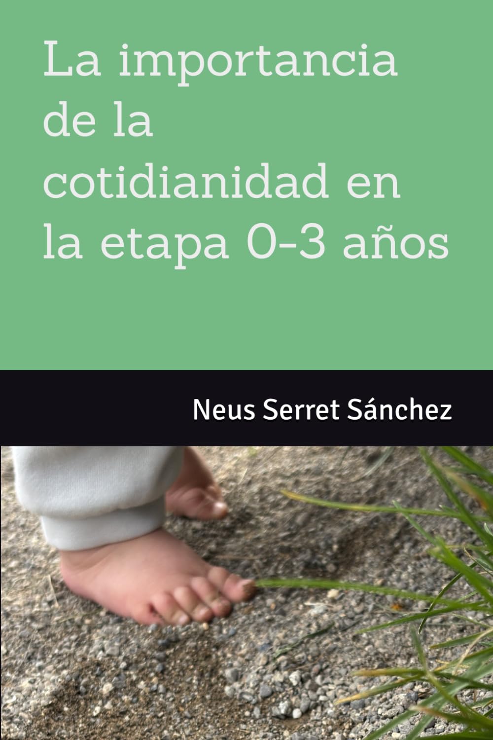 Libro: La importancia de la cotidianidad en la etapa 0-3 años