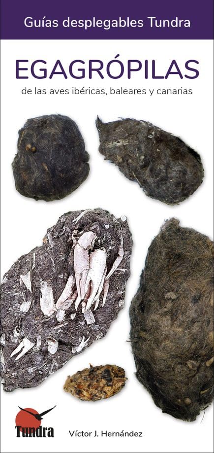 Libro: EGAGRÓPILAS (GUIAS DESPLEGABLES)