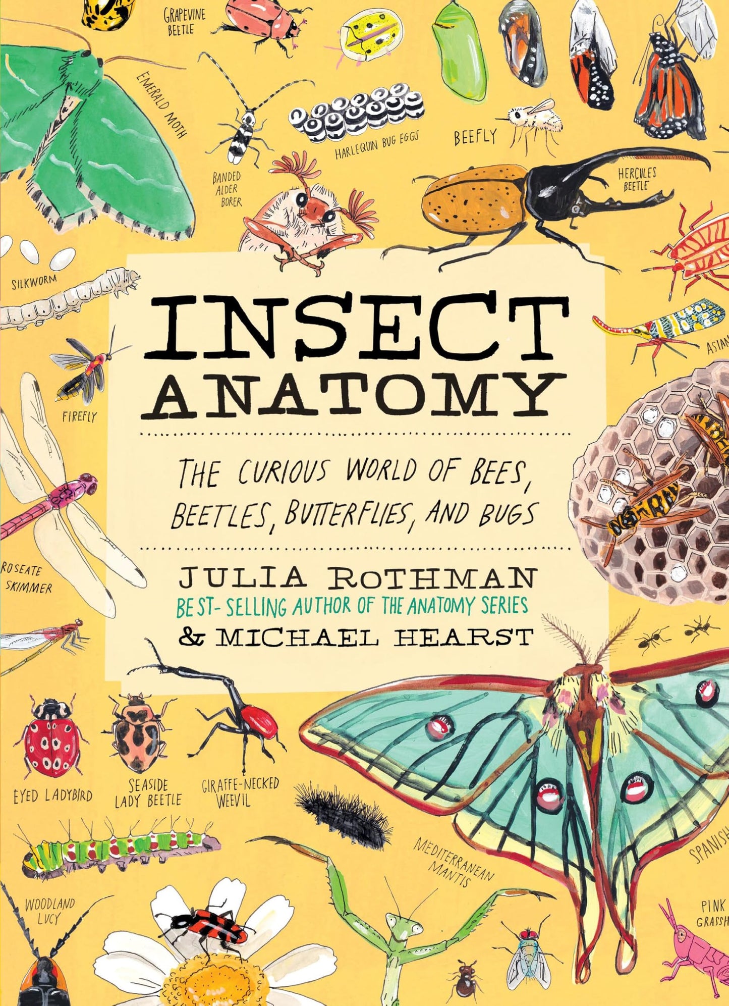 Libro: Insect Anatomy: The Curious World of Bees, Beetles, Butterflies, and Bugs