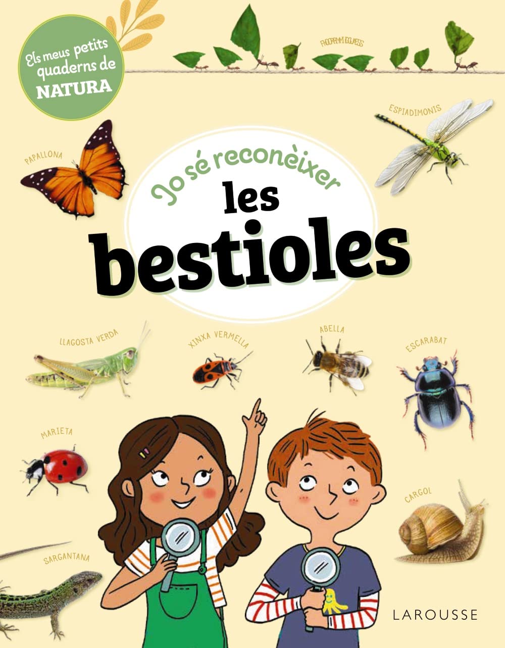 Libro: Jo sé reconèixer les bestioles: Els meus petits quaderns de natura