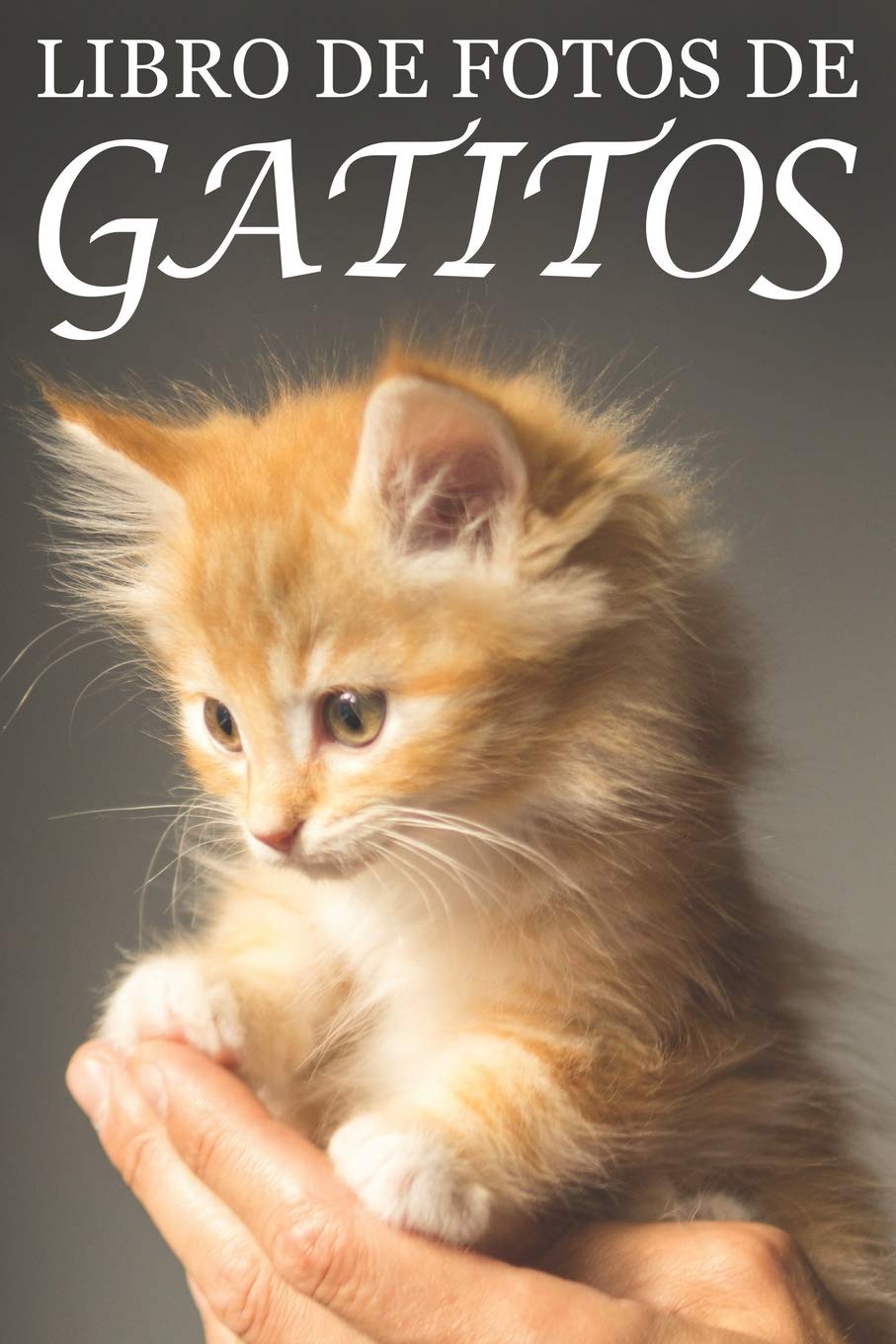 Libro de Fotos de Gatitos: Ayuda para Personas Mayores con Demencia o Alzheimer (Libros que Facilitan la Lectura a Personas con Demencia) (Spanish Edition)