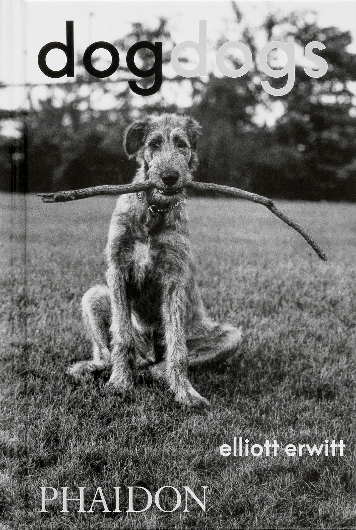 Libro: DogDogs