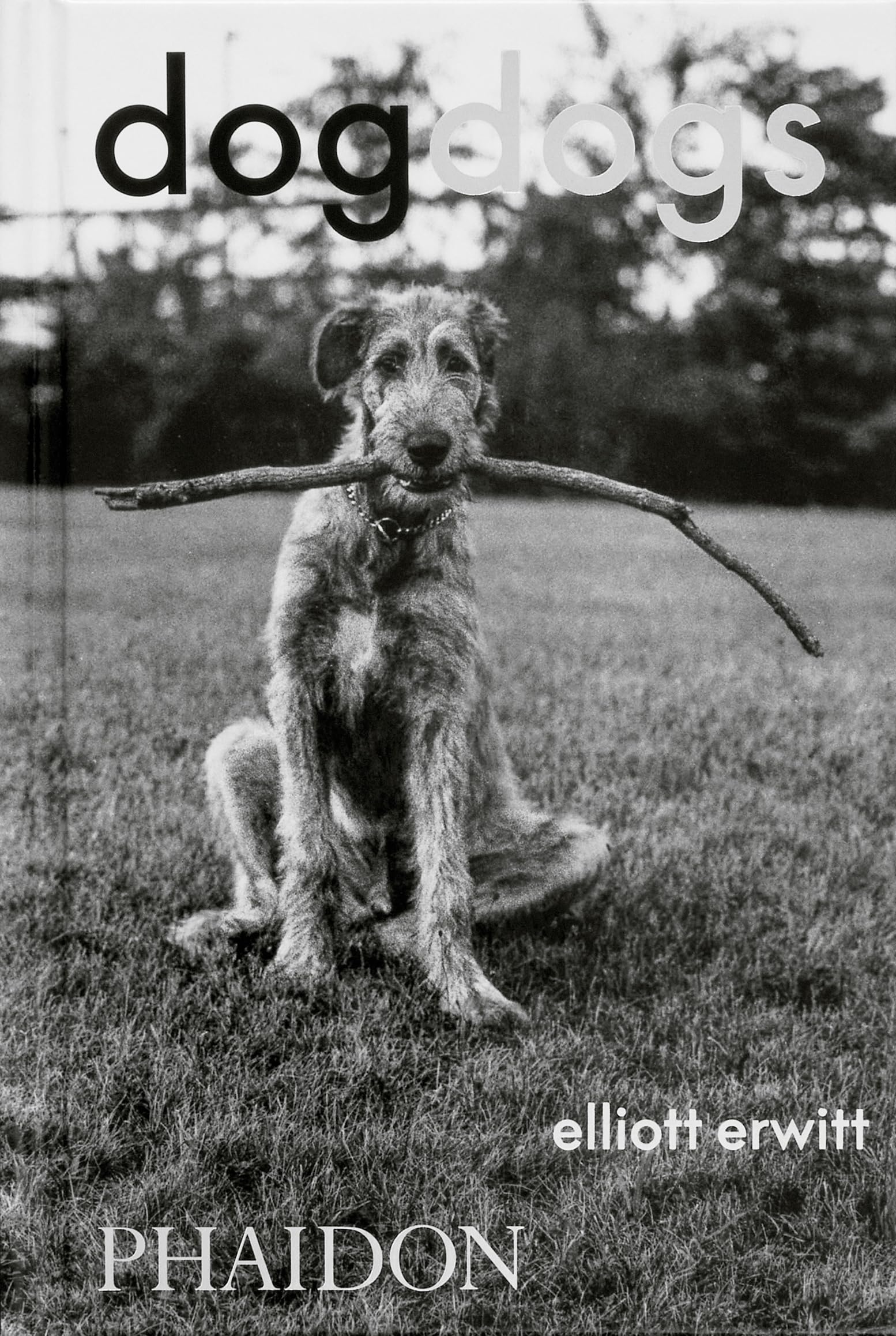 Libro: DogDogs