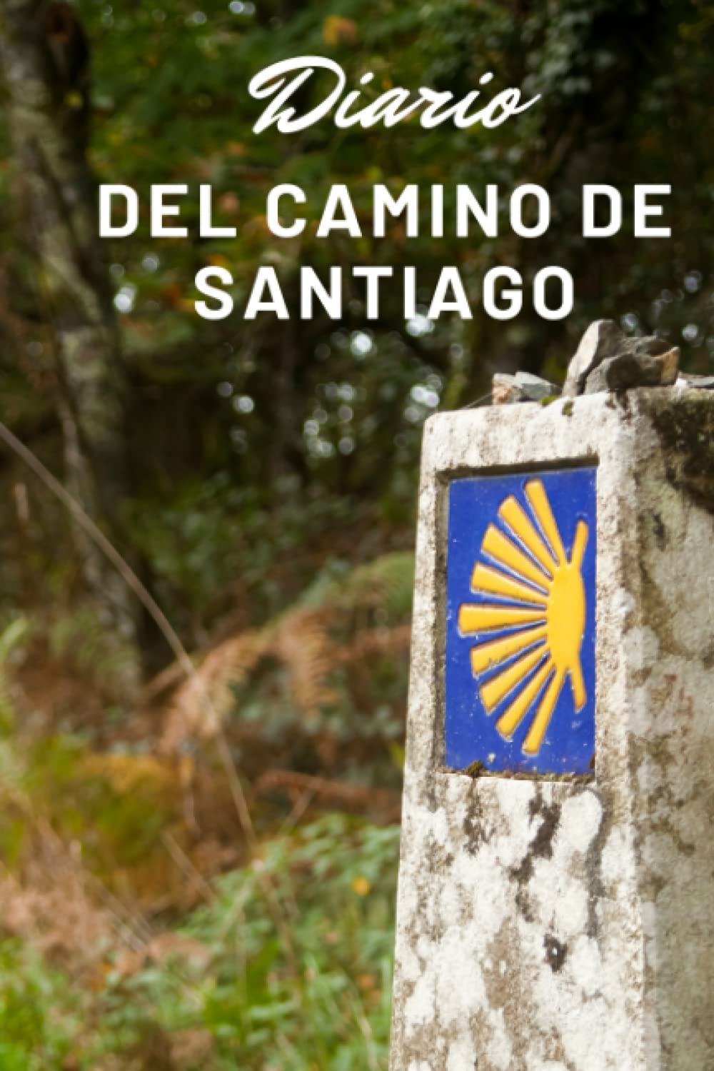 Libro: Diario del Camino de Santiago (Spanish Edition)