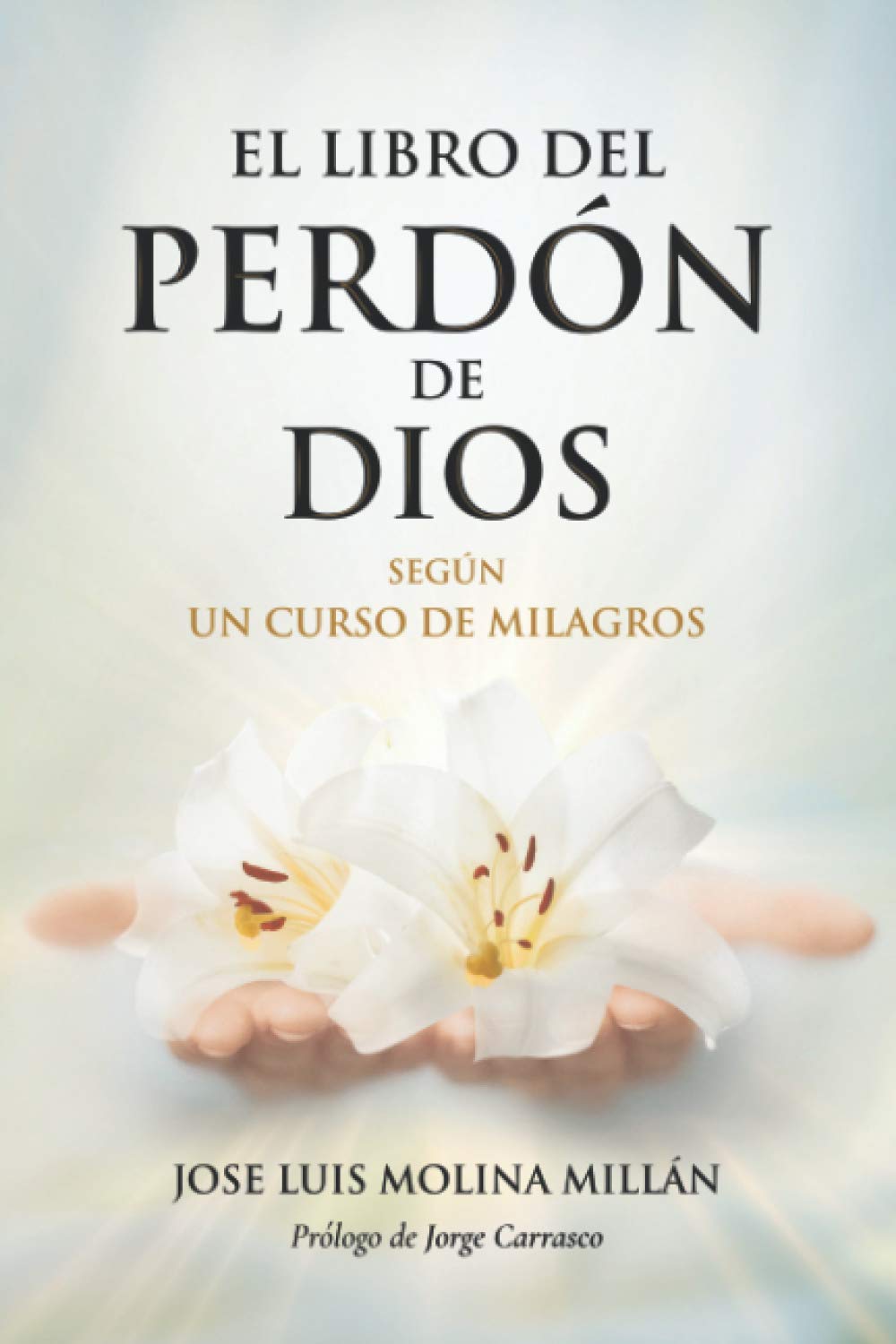 Libro: El libro del perdón de Dios