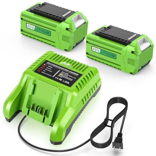 Batería-Labtec-de-40-V-y-6-Ah-para-GreenWorks-con-cargador-rápido-combinado-para-G-MAX-29462/29252,-compatible-con-herramientas-de-40-V-(20202,-22262,-25312)
