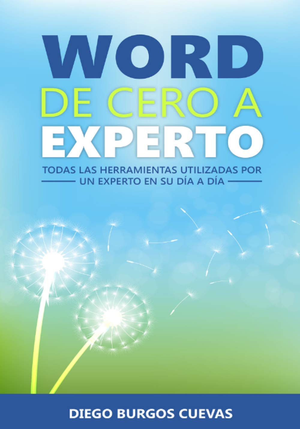 Libro: Word de cero a experto: Todas las herramientas usadas por un experto en su día a día