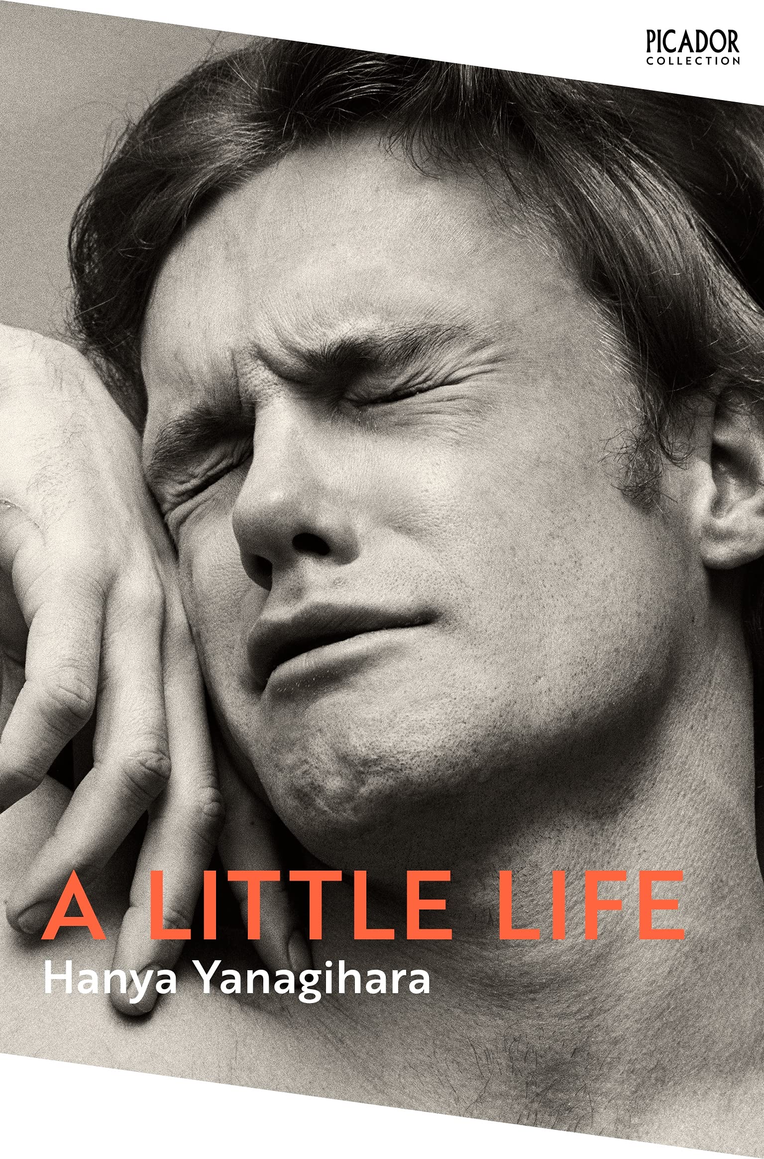 Libro: A Little Life: The Million-Copy Bestseller (Picador Collection)