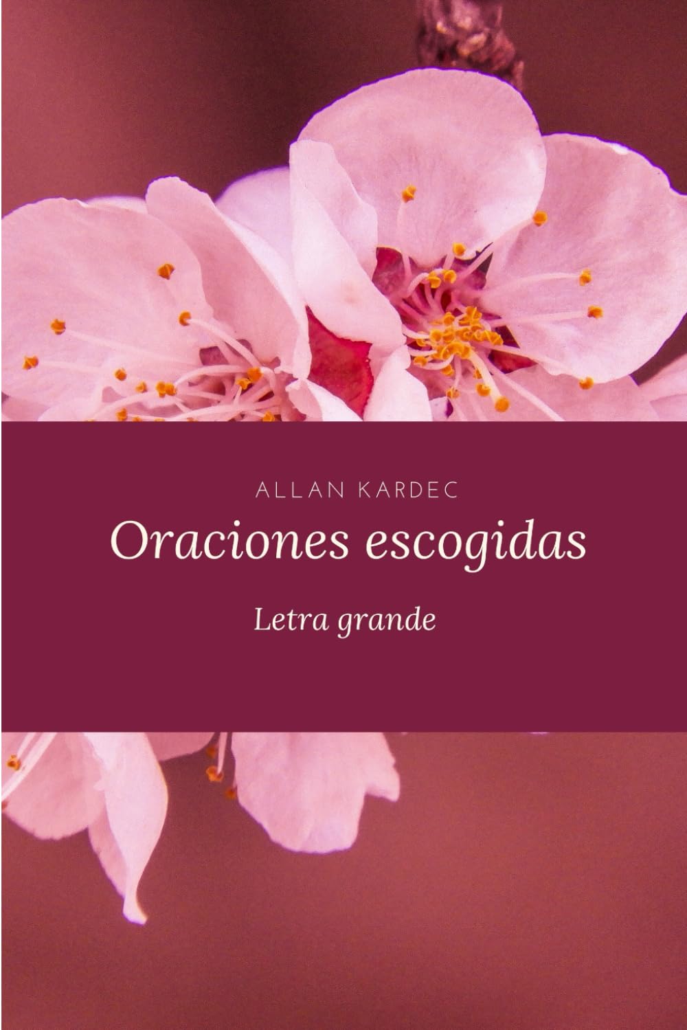 Libro: Oraciones escogidas: Letra grande