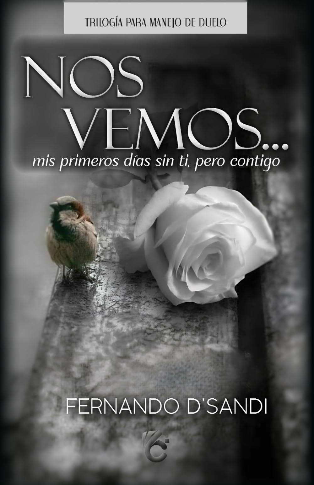 Libro: NOS VEMOS: Mis primeros días sin ti, pero contigo... (Spanish Edition)