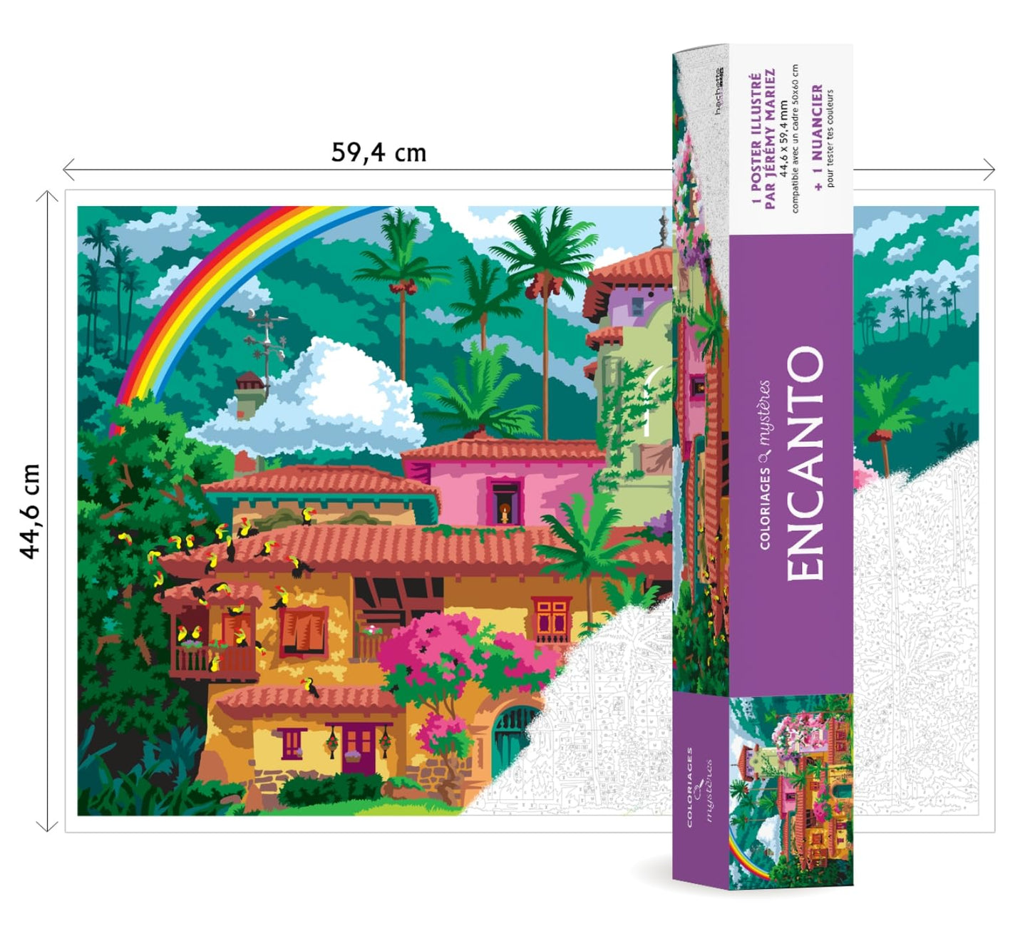 Libro: Encanto: 1 poster illustré 44,6 x 59,4cm et 1 nuancier