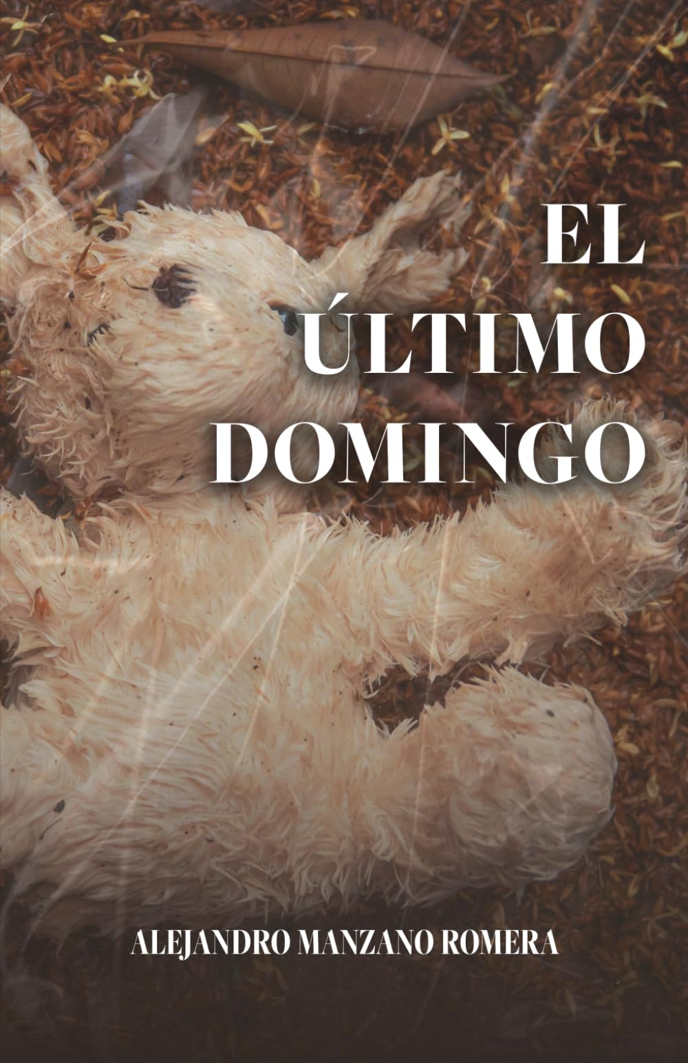 Libro: El último domingo