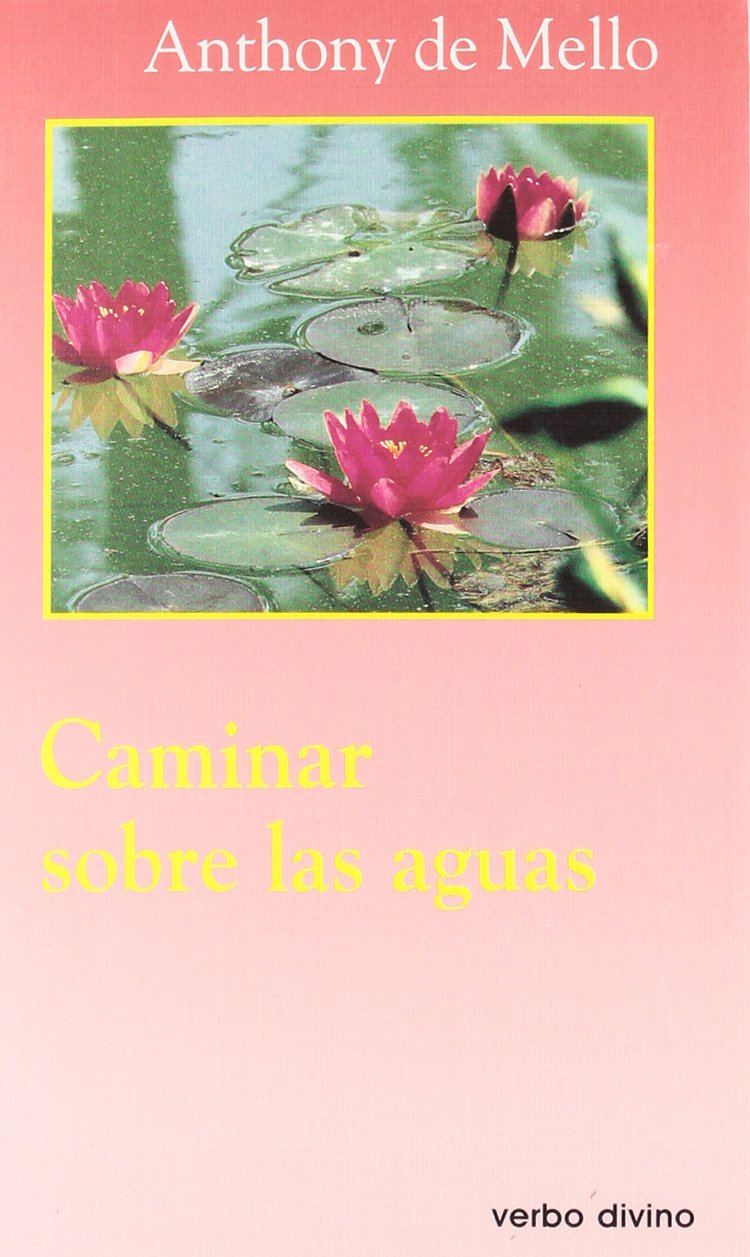 Libro: Caminar sobre las aguas (Surcos)