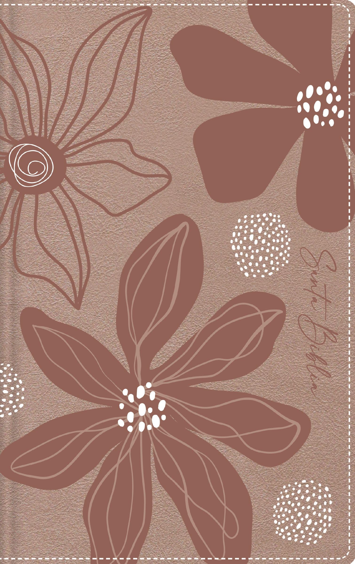Libro: RVR60, Biblia de Estudio para Jóvenes Adolescentes, Leathersoft, Oro Rosa, Palabras de Jesús en Rojo, Comfort Print: Reina-Valera 1960, Estudio para jóvenes, Oro Rosa, Leathersoft, Comfort Print