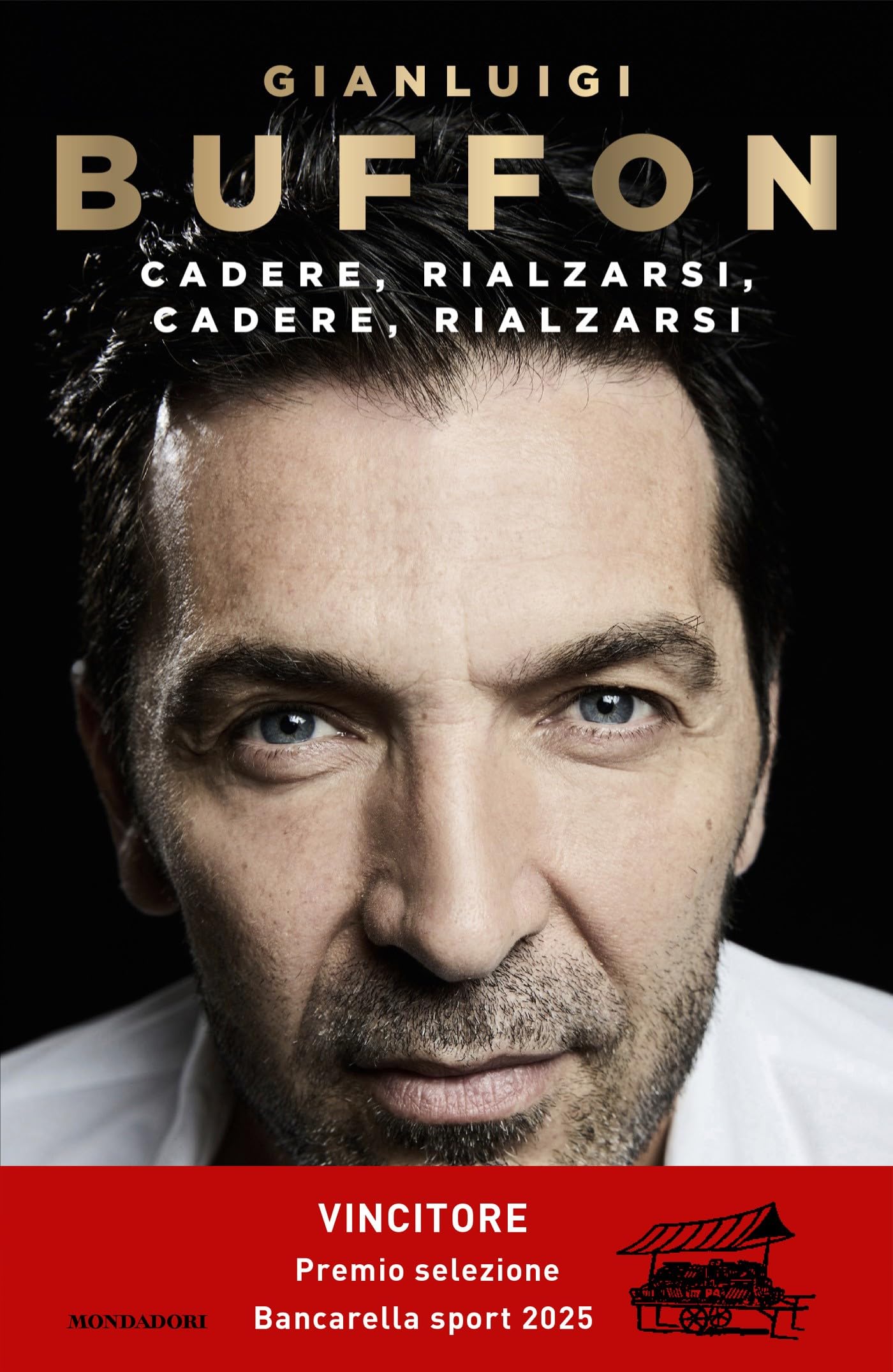 Libro: Cadere, rialzarsi, cadere, rialzarsi (Vivavoce)