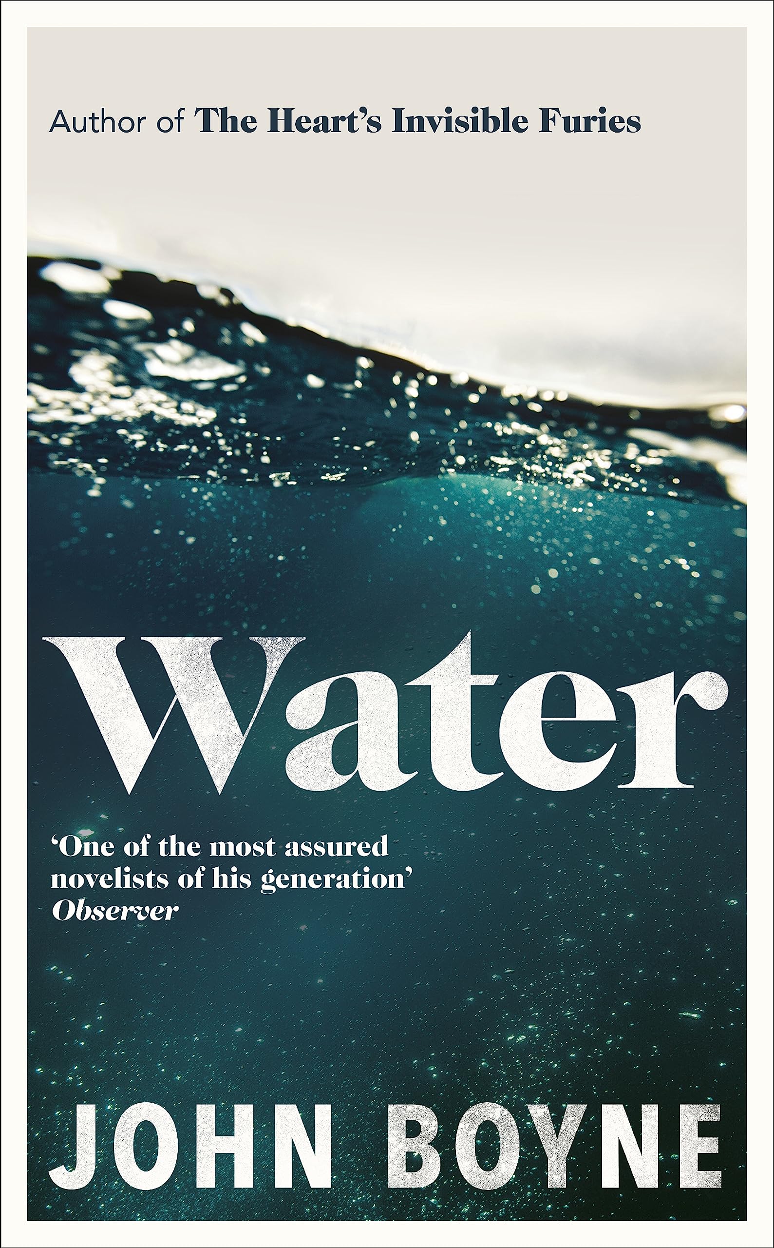 Libro: Water: A haunting, confronting novel from the author of The Heart’s Invisible Furies (International Edition)