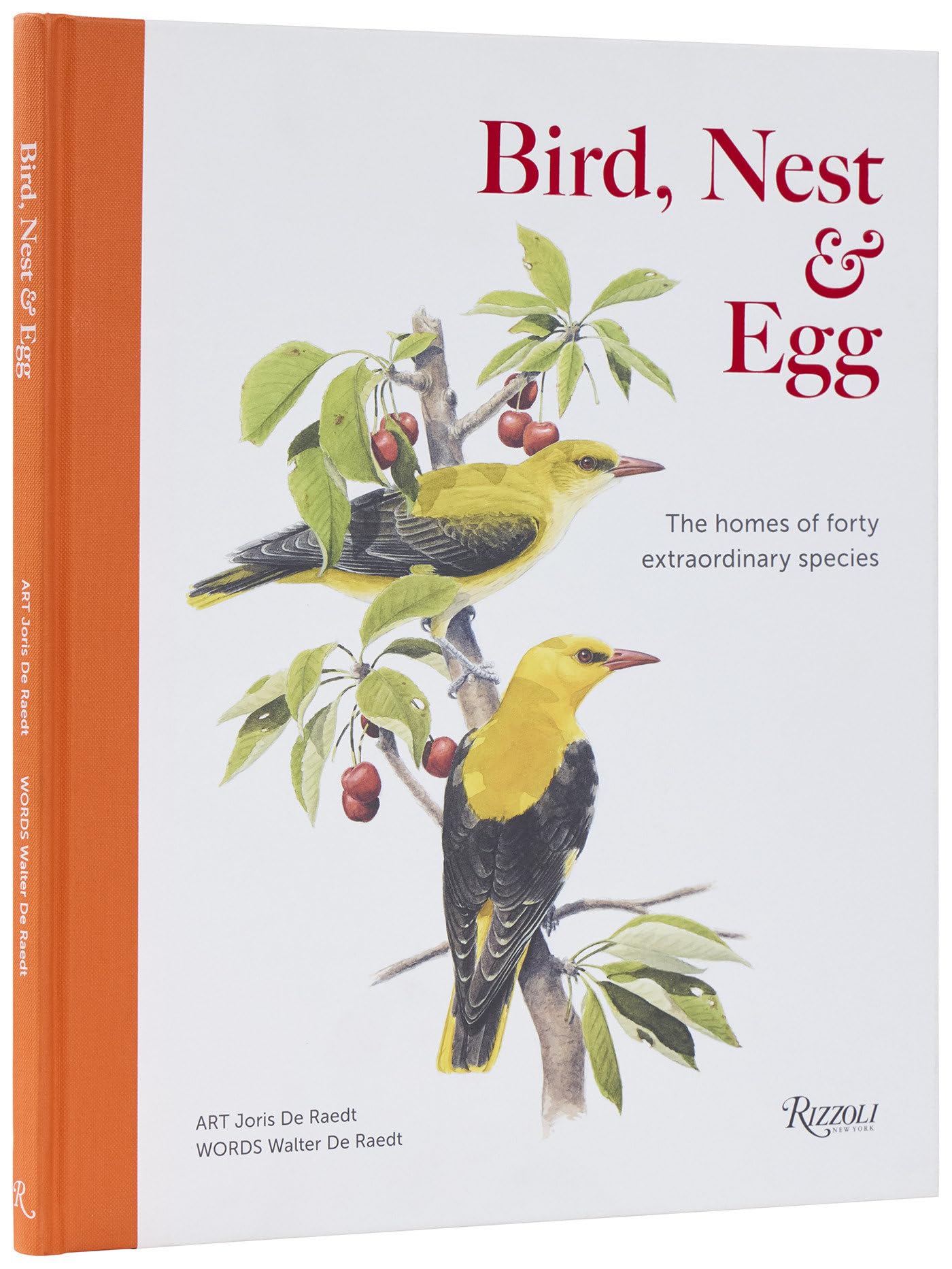 Libro: Bird, Nest & Egg: The Homes of Forty Extraordinary Species