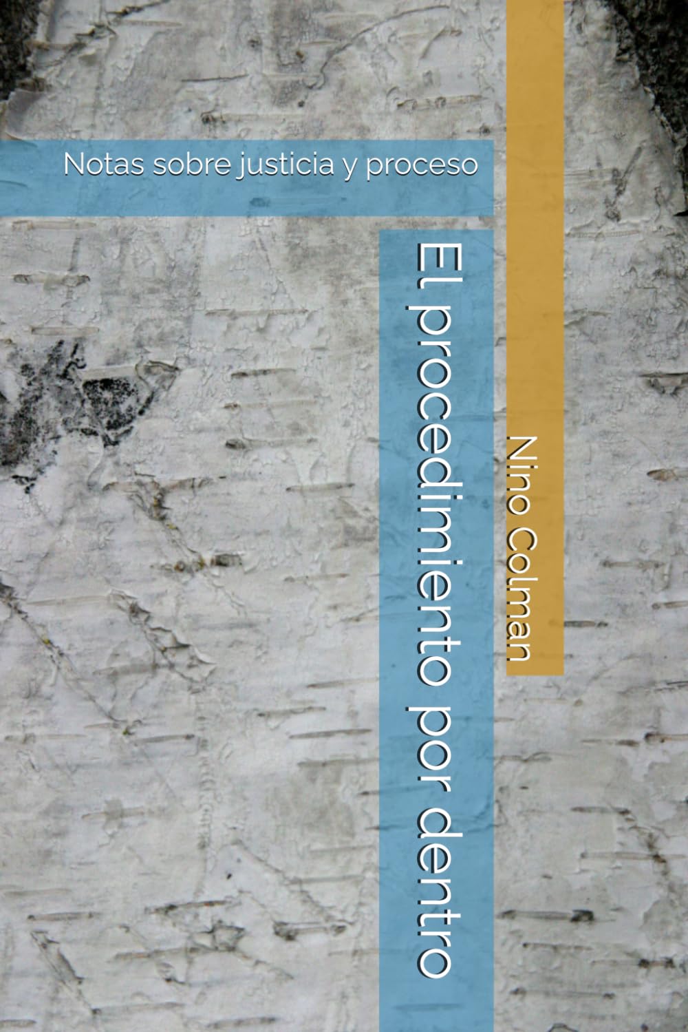 Libro: El procedimiento por dentro: Notas sobre justicia y proceso