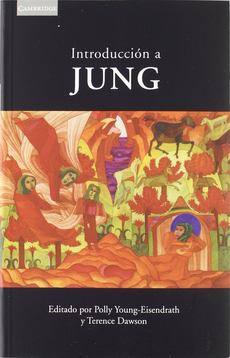 Libro: Introducción a Jung (Spanish Edition)