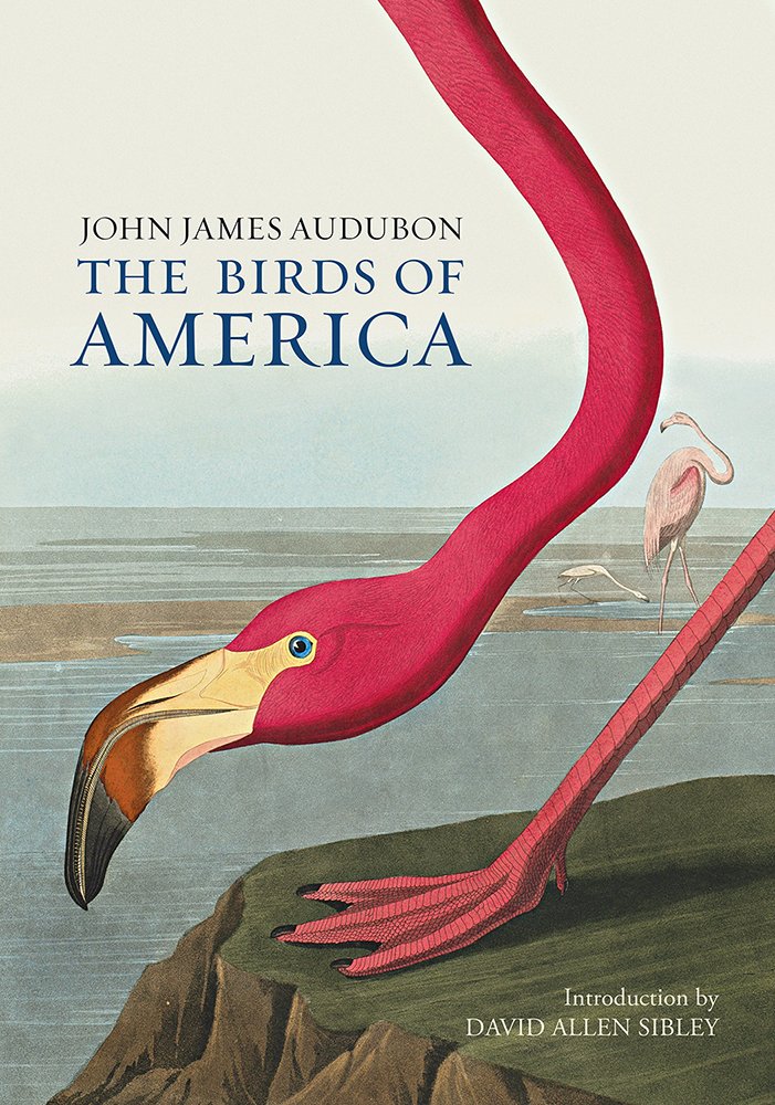 Libro: John James Audubon The Birds of America /anglais