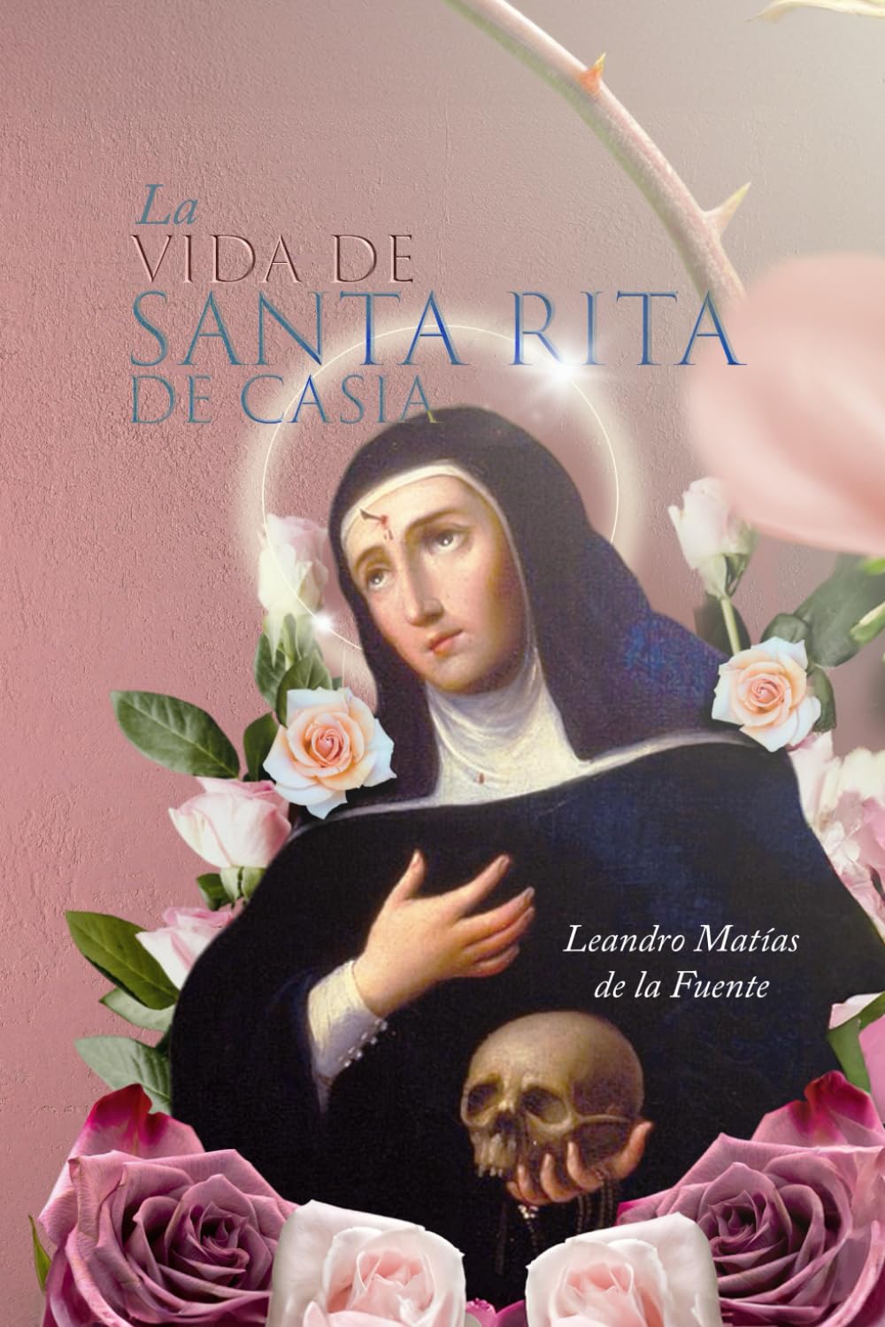 Libro: La Vida de Santa Rita de Casia (Spanish Edition)
