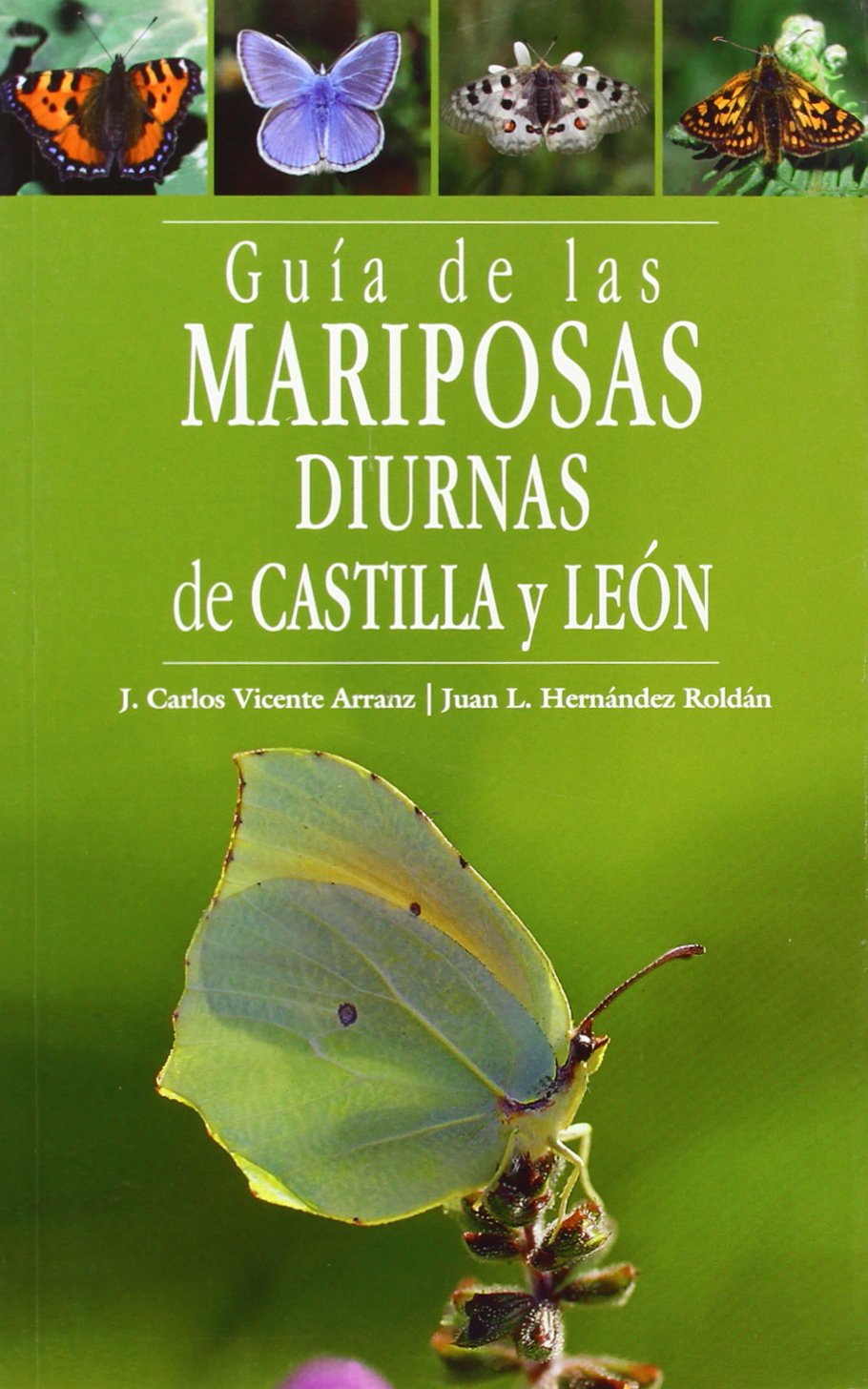 Libro: Guía de las mariposas diurnas de Castilla y León